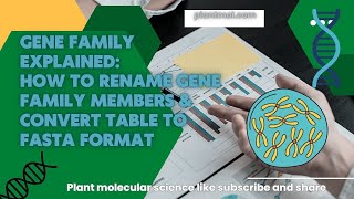 Gene Family Explained How to Rename Gene Family Members amp Convert Table to FASTA Format [upl. by Auqinat]