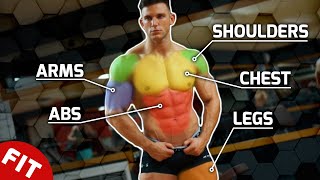 Experts Agree These are the Best Exercises for Building Muscle [upl. by Humbert]