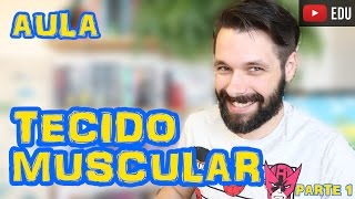 Tecido Muscular  Aula Parte I  Histologia  Prof Samuel Cunha [upl. by Graeme]