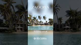 ZAGORA YUCATÁN 6 terrenosenventa realestate inversion nearshoring inversioninmobiliaria [upl. by Modeerf]