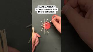 Ornamental Wheat Weaving Learn to Plait Straw [upl. by Edward]