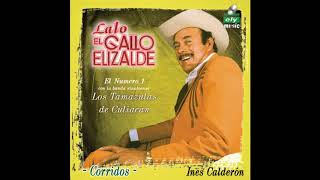 Lalo El Gallo Elizalde Oscar Cosio Bass Epicenter [upl. by Jegar59]