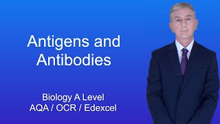 A Level Biology Revision quotAntigens and Antibodiesquot [upl. by Eimerej]