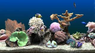 Marine Aquarium Virtual Fishtank [upl. by Phoebe]