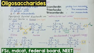 Oligosaccharides class 11  Oligosaccharides structure  carbohydrates [upl. by Behm]