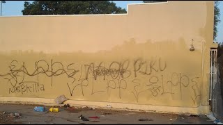 Lueders Park Piru Gang Related Homicide in Willowbrook [upl. by Tihom314]