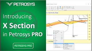 Introducing X Section in Petrosys PRO [upl. by Vargas]