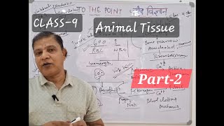 Animal Tissue Part  2RBCWBCPLATELETS [upl. by Areip]