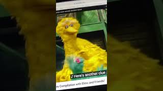 Sesame Street Rosita Letter S Big Bird Song [upl. by Noskcire]