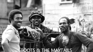 Toots and The Maytals  Ill Never Grow Old [upl. by Warden]