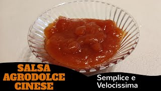 Salsa Agrodolce Ricetta [upl. by Jordans682]