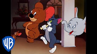 Tom et Jerry en Français  Jerry et Jumbo sassocient  WB Kids [upl. by Donelu]