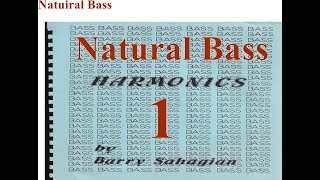 Bass Harmonics [upl. by Switzer]