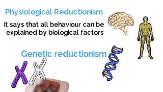 Reductionism vs Holism Psychology Debate Explained Alevel [upl. by Esiuol]