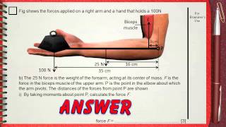 Q 04L3 Moments  Ch1 Mechanics IGCSE past papers [upl. by Remlap695]