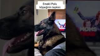 Emekli köpek 🐶🐶 [upl. by Thatch144]