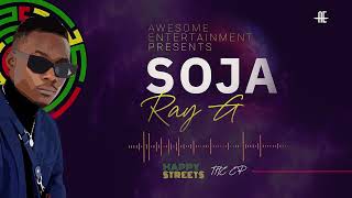 RAY G SOJA Official Audio [upl. by Teodor823]