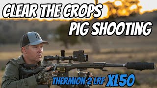 Clear the Crops  Feral Pig amp Fox Shooting  308Win Rifle amp Thermion 2 LRF XL50  Wedgetail Hawk [upl. by Nylzor]