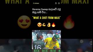 Mixwell💀🔥💪 srilankancricketyoutube shortvideo youtubeshorts glennmaxwell [upl. by Nwahsyt]