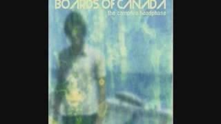 Boards of Canada  Tears From The Compound Eye [upl. by Chinua]