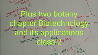 Plus two botany chapter Biotechnology and its applications class 2 [upl. by Pegasus222]