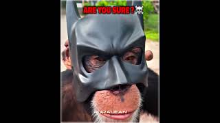 Best Batman Cosplay Moments☠️☠️ [upl. by Estel]