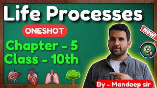 Life Processes class 10 Science Biology  CBSE NCERT  Oneshot [upl. by Stanhope541]