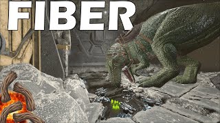 ARK But its a 10000X FIBERCRAFT and We Raid Center Pearl Cave  Ark PvP [upl. by Rehpoitsirhc893]