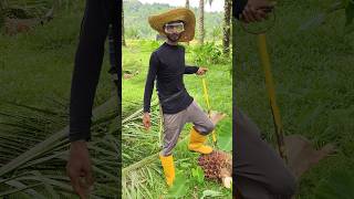 Plantation worker palmoil malaysia shorts viralshort new plantation ytshorts [upl. by Bluh638]