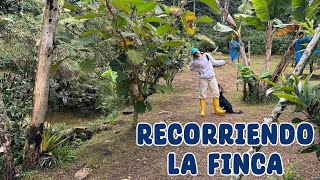 Recorriendo la finca a ver qué hay de nuevo  Candy Bu [upl. by Viridi]