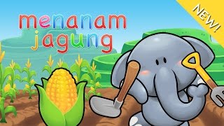 Lagu Anak Indonesia  Menanam Jagung [upl. by Lama197]