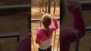 Sonntagsausflug  Opel Zoo mamaleben familyvlog family vlog [upl. by Trager]