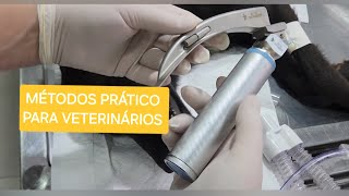 PASSAGEM DE TUBO ENDOTRAQUEAL [upl. by Ion390]