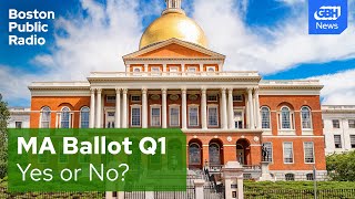 Massachusetts ballot question 1 Auditing the legislature [upl. by Mcdonald]