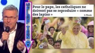 Le FLOP TEN 24 janvier 2015  On nest pas couché ONPC [upl. by Audrit370]