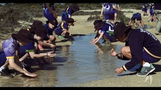 Secrets of the Saltmarsh Eyre Peninsula [upl. by Scarlet]