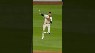 Best Plays From The 2024 MLB Season [upl. by Heimlich]