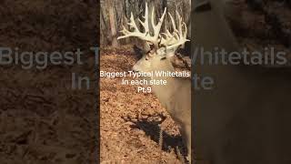 Biggest Typical Whitetails in each state Pt9 hunting huntingseason illinois [upl. by Janela998]