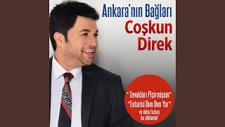 Tavukları Pişirmişem feat Sibel Pamuk Akşama Geleceğim [upl. by Doerrer]