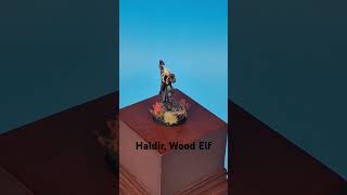 Haldir of Mirkwood  MESBG Lord of the Rings Games Workshop Warhammer lordoftherings [upl. by Akemed240]