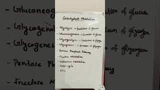 Carbohydrate Metabolismcarbohydratemetabolism metabolismpathways pathway [upl. by Mellette16]