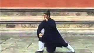 WUDANG TAICHI Quan 64 Forms by Wudang Master Tian Liyang [upl. by Bohs]