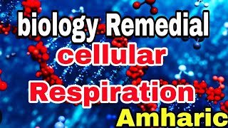 🔴Remedial BiologyCellular RespirationChapter three for remedial students part 6Ethiopia [upl. by Yaluz]