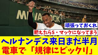 ヘルナンデス初アーチ「シンカー一本に絞って」来日まだ半月、電車で「規律にビックリ」【なんJ反応】【プロ野球反応集】【2chスレ】【5chスレ】 [upl. by Judas81]