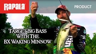 Rapala® BX™ Waking Minnow [upl. by Aimet]