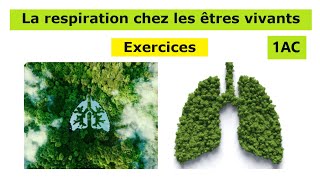 Exercices la respiration dans différents milieux 1ac [upl. by Zorana]