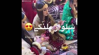 Shalwar Palangi balochi omanbaloc balochimusic song balochisong [upl. by Adlev]