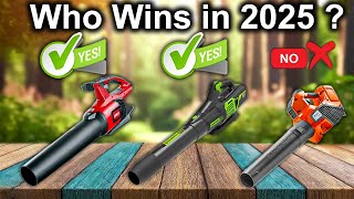 The Best Cordless Leaf Blowers OF 2025 Tested And Reviewed [upl. by Enala530]