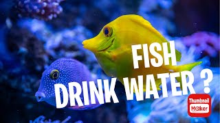 Do Fish Really Drink Water The Truth Revealed [upl. by Ennairac]