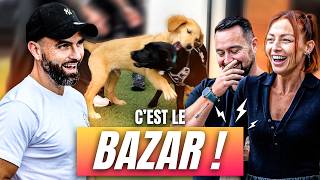 2 Chiots 1 Chat  À LAIDE  😱 ft LatelierdeRoxane [upl. by Fatima468]